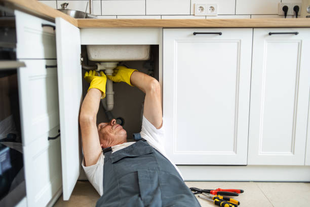 Best Septic Systems  in Thorsby, AL